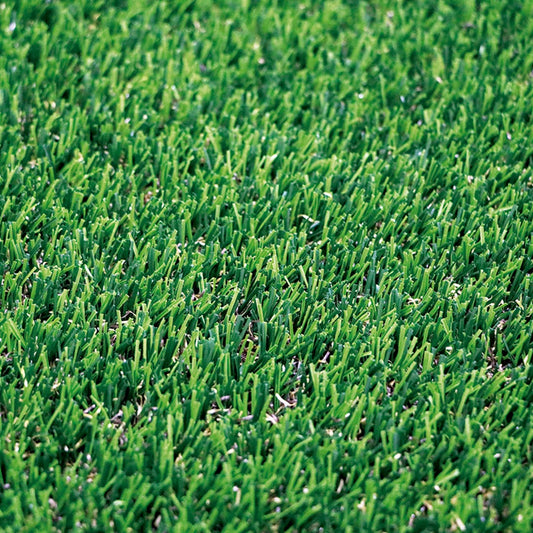Césped Denia Xtra S20: La Sofisticación Natural Para Tu Jardín 2x10 M / Multicolor_0