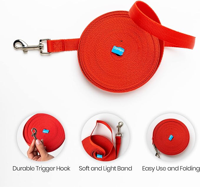 Edipets Correa De Adiestramiento Larga De Naylon Para Paseo_3