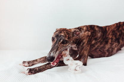 Bimorbox Perros Senior Pequeños – Pack Ahorro Con Pelota, Mordedor De Asta De Ciervo Y Snacks Sin Aditivos