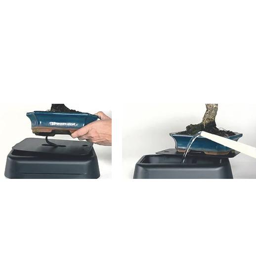 Sistema de auto-rega para bonsai 25 cm Hidrobonsai