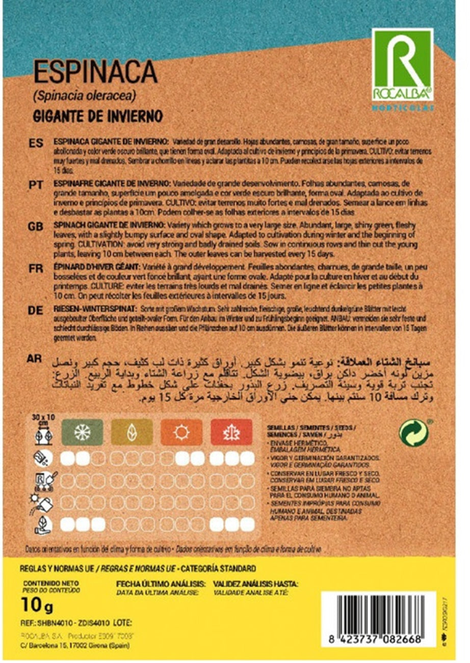 Semillas Espinaca Gigante De Invierno 1k_1