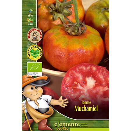 Sementes de tomate biológico Muchamiel