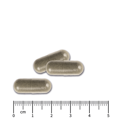 Naturloe Forte_2