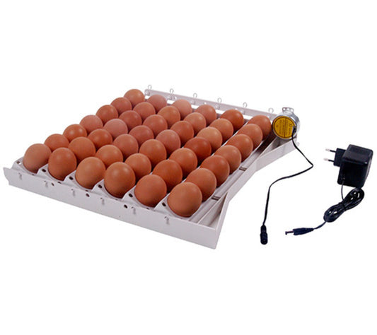 Bandeja Volteo Automático De Huevos_0