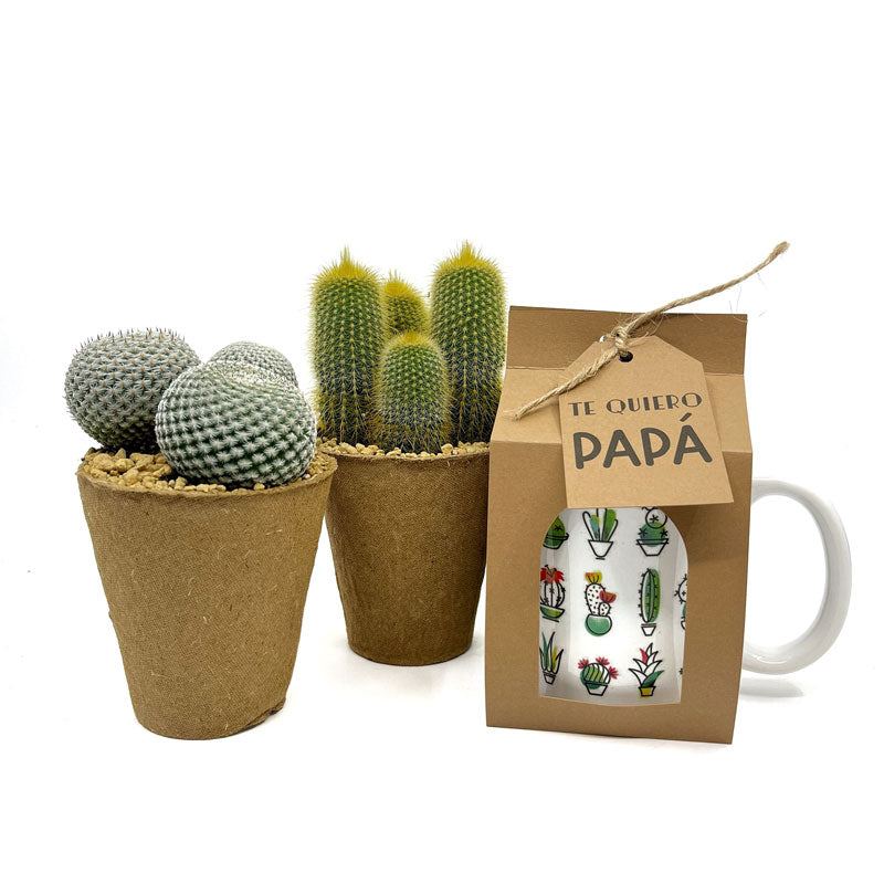 Pack Regalo Día Del Padre Taza Cactus + Plantas_0