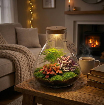 Terrario De Plantas Ø30 Cm - Ecosistema - Cristal - Diy_1