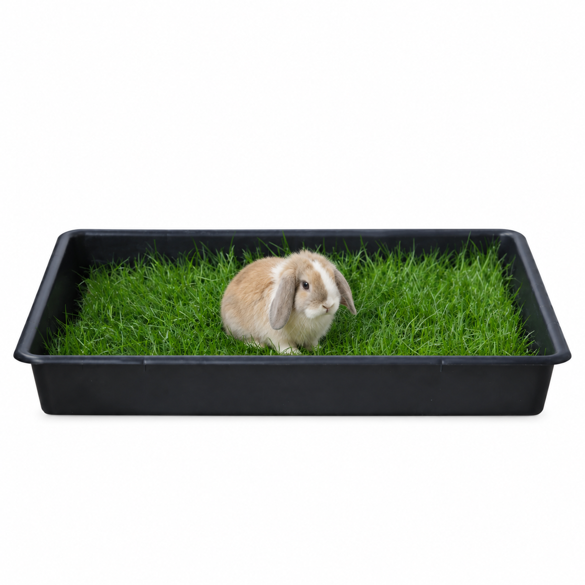 Petground, Parque Para Conejos, Casa De Césped Natural Xxl: 80 X 80 Cm_0
