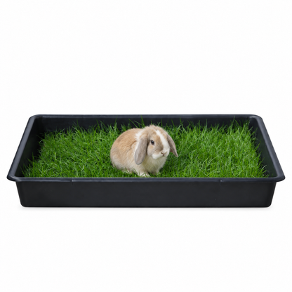 Petground, Parque Para Conejos, Casa De Césped Natural Xxl: 80 X 80 Cm_0