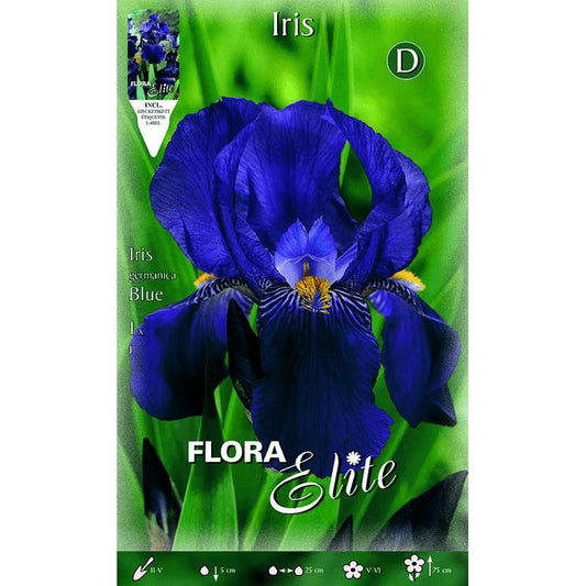 Candeeiro de íris alemã azul 1 unidade