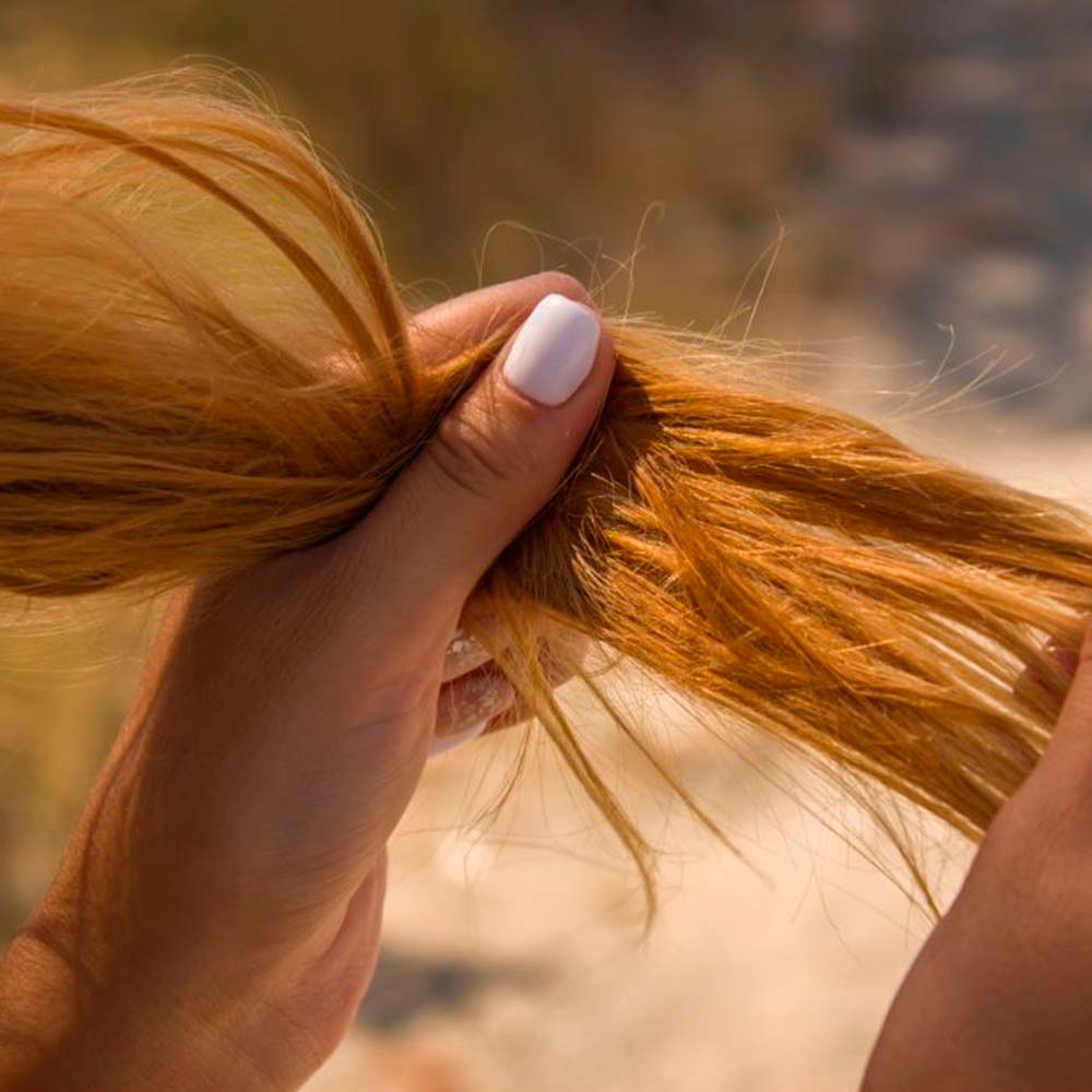 Pack 4 Champú Sólido Cabello Seco o quebradizo - 100% Natural - Previene Puntas Abiertas - Hecho En España_1