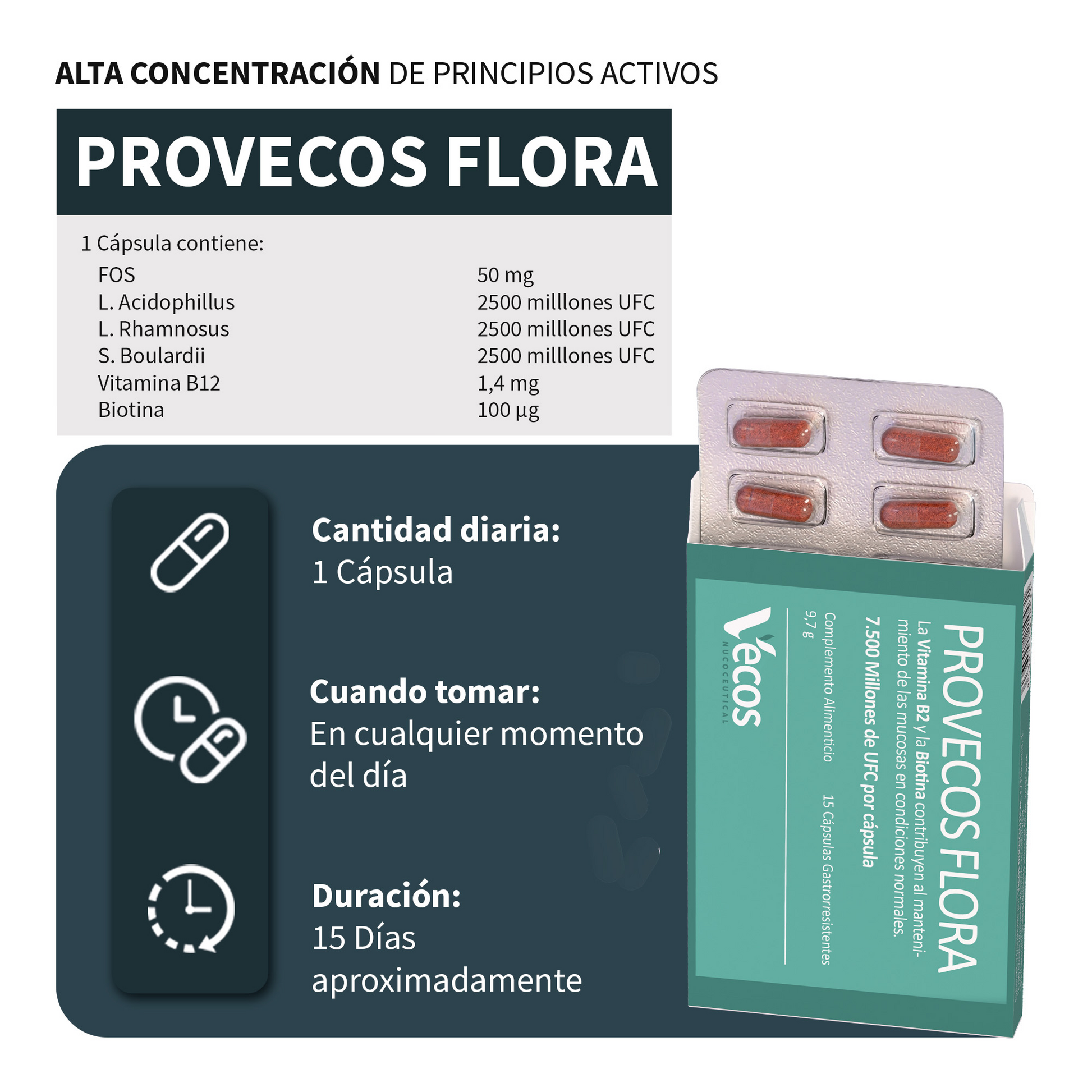 Provecos Flora VECOS (15 cápsulas) | Regenera flora intestinal | 3 cepas + FOS | Con Biotina + Vitamina B2_2