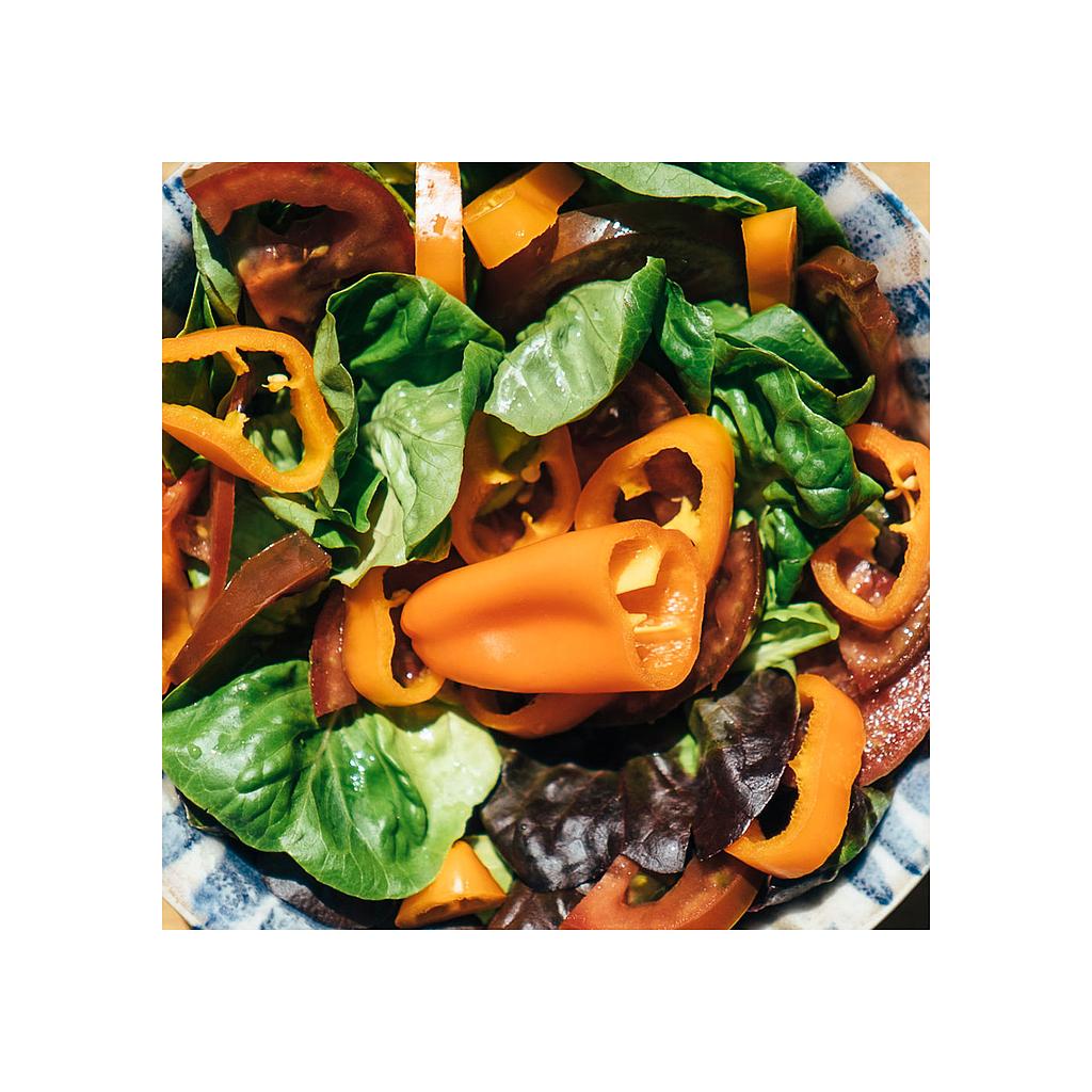 Pimiento Naranja Hobby Fresh M13 (capsicum Annum)_0