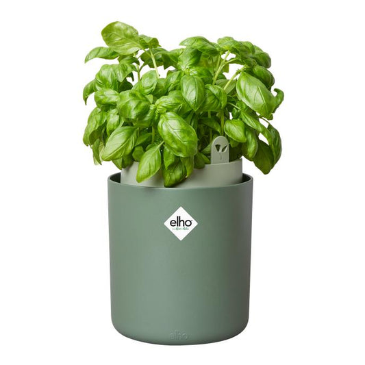 Bouncy Basil Elho Verde vaso auto-irrigável