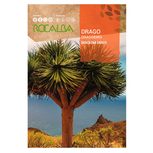 Sementes de dragoeiro, Rocalba