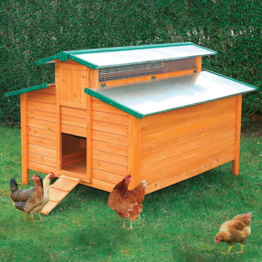 Gallinero Grande Para Exterior - Capacidad Para 8-12 Gallinas - Gallinero Calgary De Madera Con Cuatro Ponederos_0