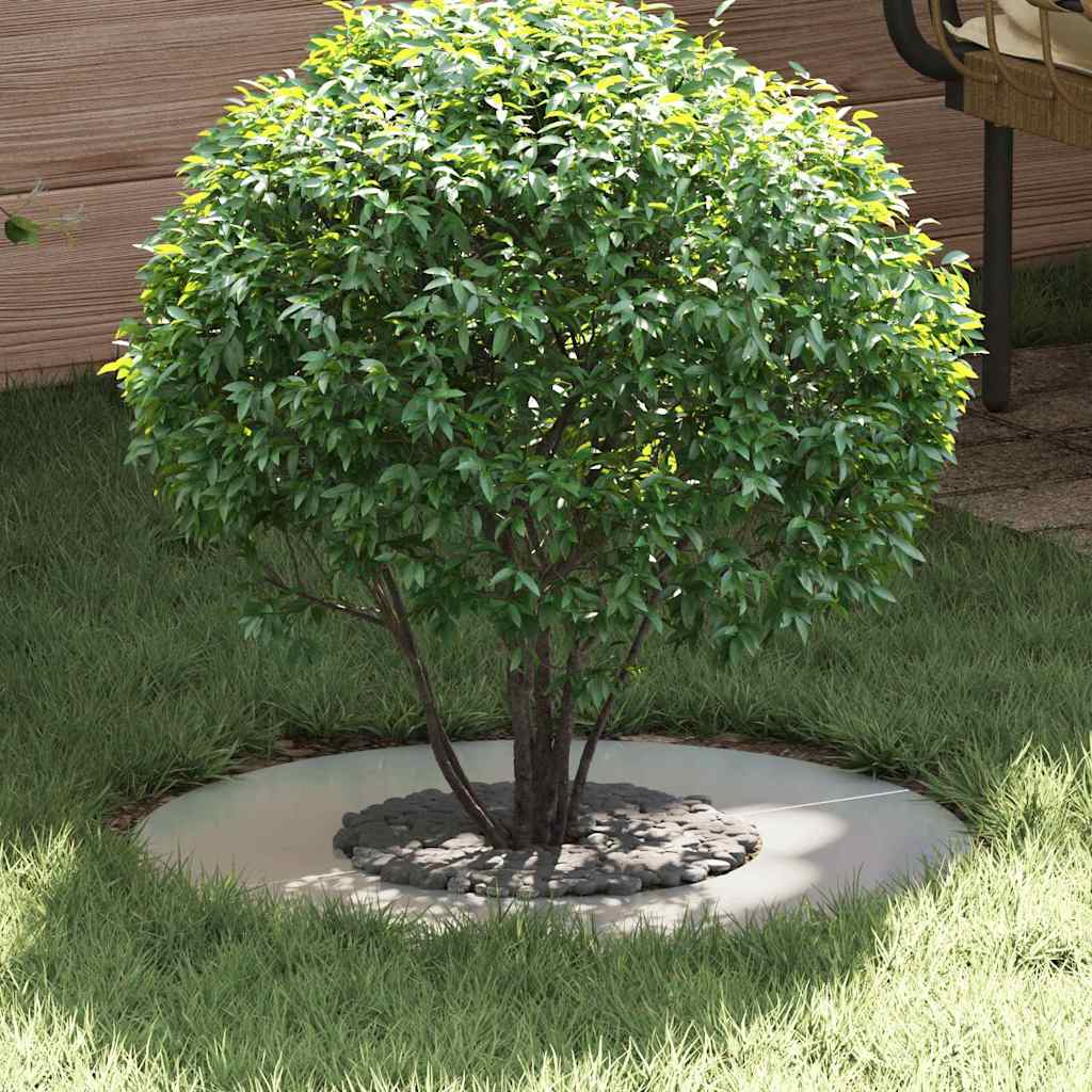 Adecuado Para Anillo De Árbol Plano Plateado Ø30 / 60 Cm_1