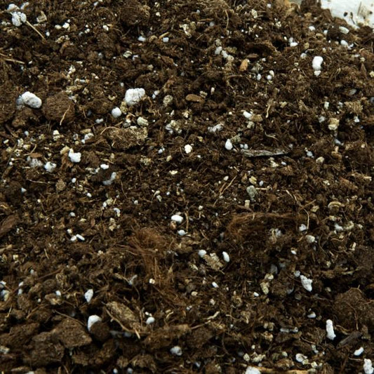Substrato para Dionaea carnívora 1L