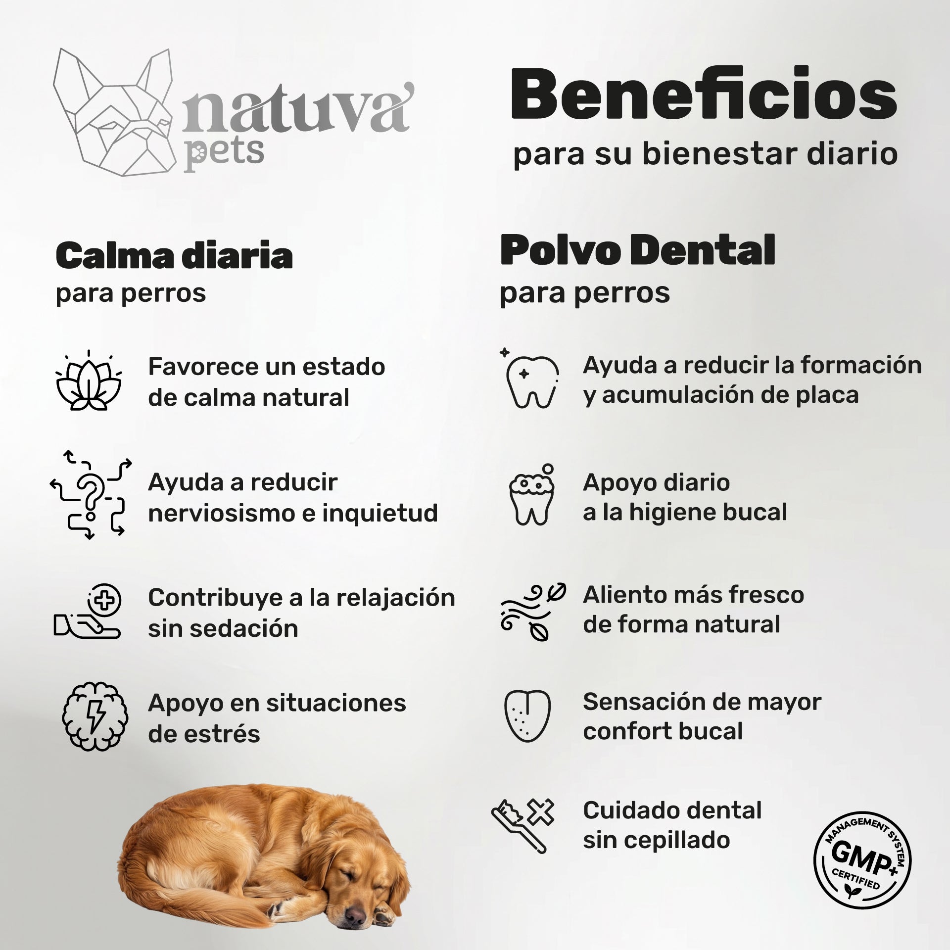 Pack Calmante + Polvo Dental Para Perros. Suplementos Mascotas. 120 Masticables Y 180 G. Natuva Pets_1