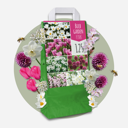 Mezcla De Bulbos De Flor - 250 Pzs - Púrpura_4