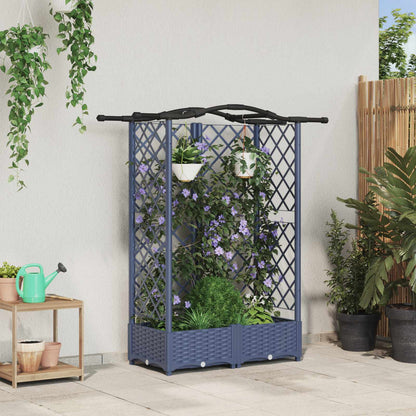 Cama Elevada Con Trellis Y Techo Gris 124 X 40 X 123 Cm Pp_1