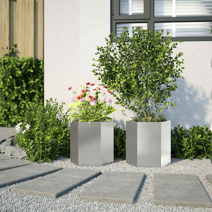 Jardineras Hexagonales 2 Uds Acero Inoxidable 46x40x45 Cm_2