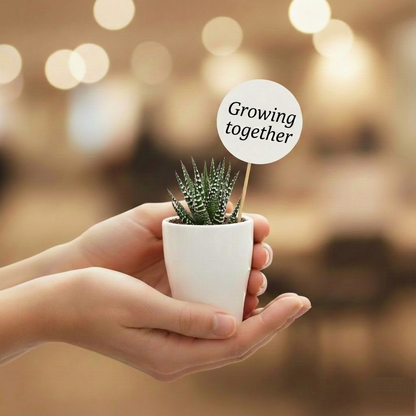 Mini Plantas De Interior Y Helechos - 10 Unidades - Para Terrario_2