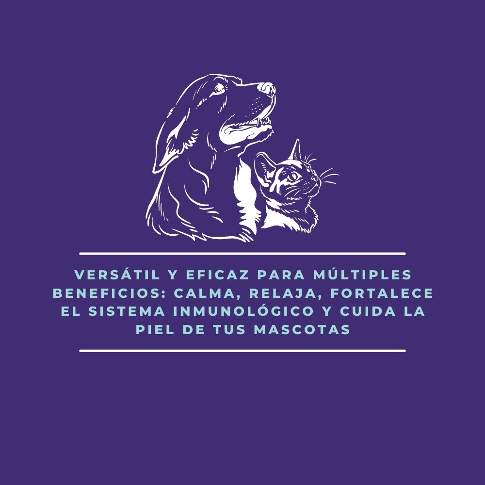 Emulsión de Lavanda – Aroma Relajante, Repelente de Insectos y Apoyo Digestivo Natural - 200 gr_1