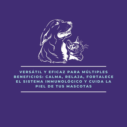 Emulsión de Lavanda – Aroma Relajante, Repelente de Insectos y Apoyo Digestivo Natural - 200 gr_1