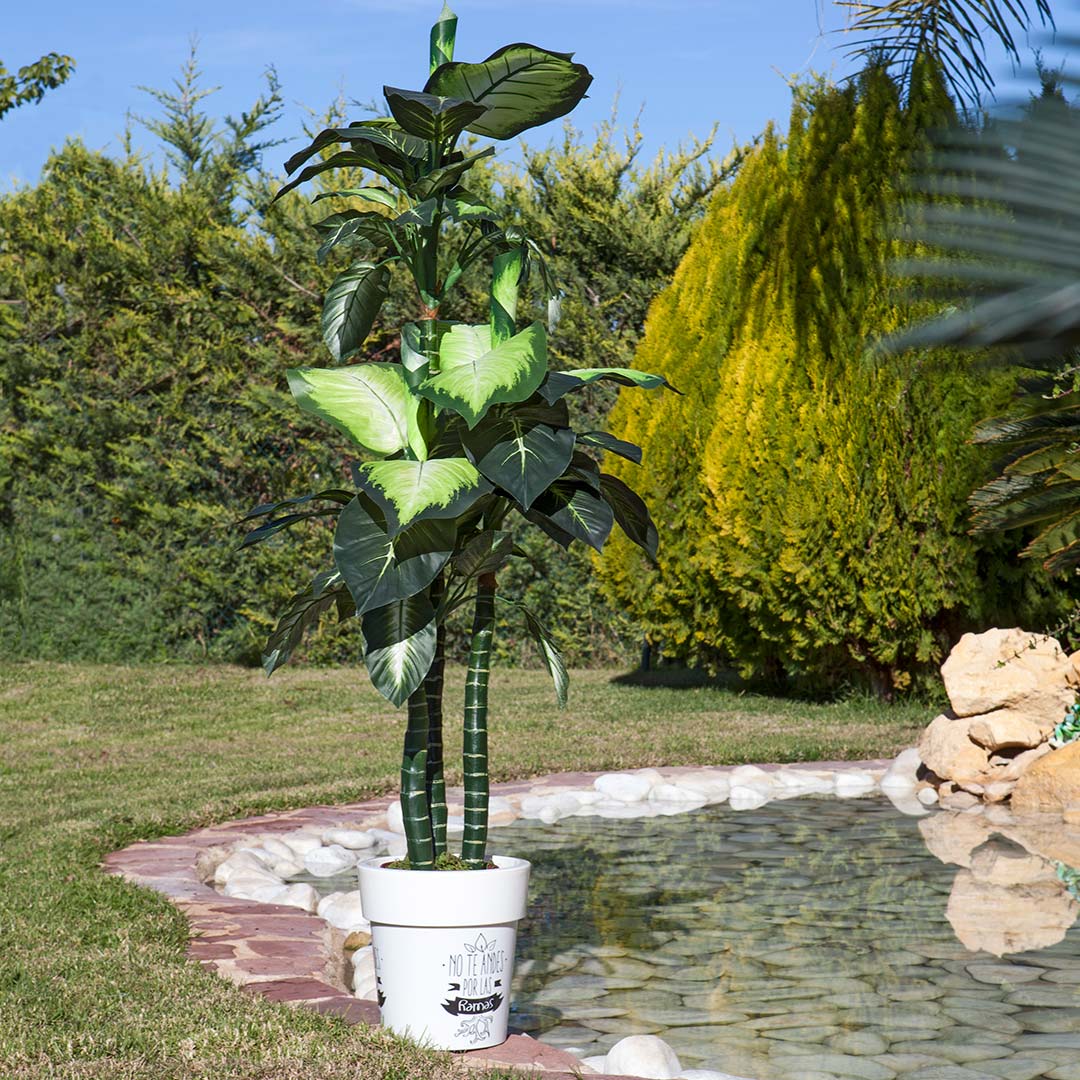 Planta Artificial Pata De Elefante - Decoración Natural Sin Mantenimiento 1.5 M / Multicolor_0