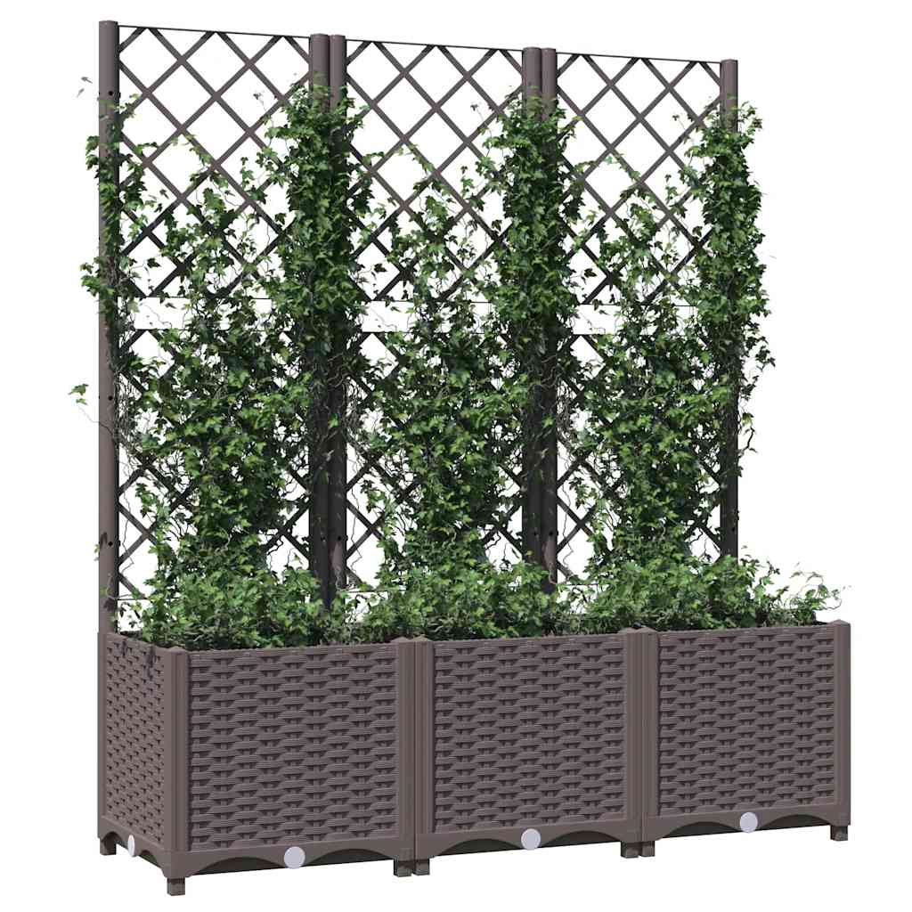 Jardinera De Jardín Con Enrejado Marrón 120x40x136 Cm Pp_2