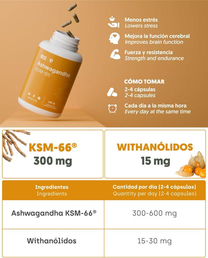 Ashwagandha Ksm-66 9000mg Extracto Patentado Nutribrain 240 Cápsulas_4