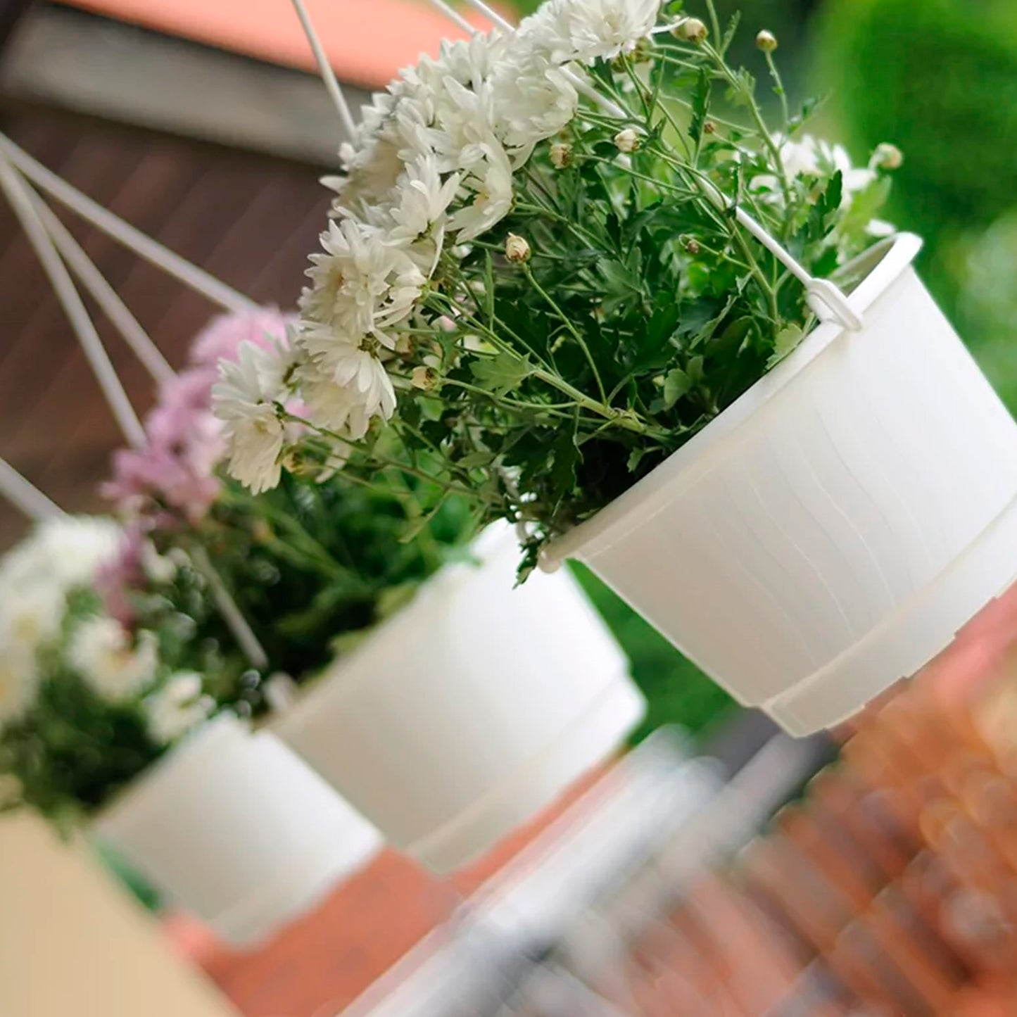 Macetero Colgante Pro 5l., Dimensiones (mm) 240x240x155, Color Blanco