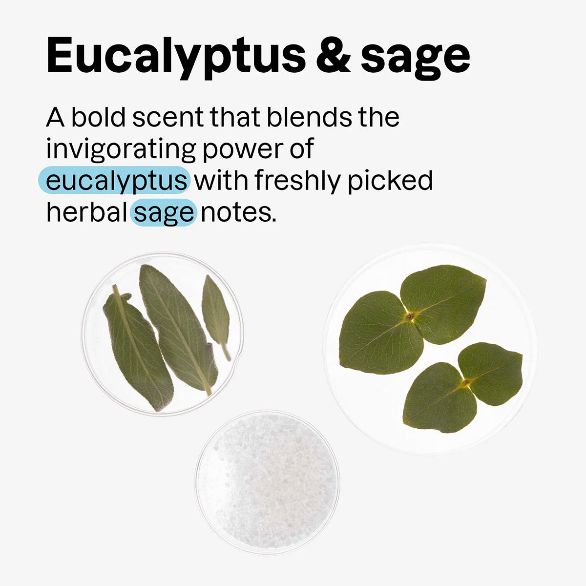 Desodorizante Super Leaves Men Eucalipto e Sálvia 75 g