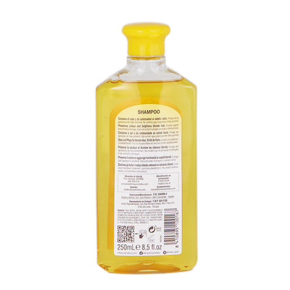 Champú para adultos Intea 250 ml
