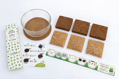Germinador hierba gatera Garden Pocket