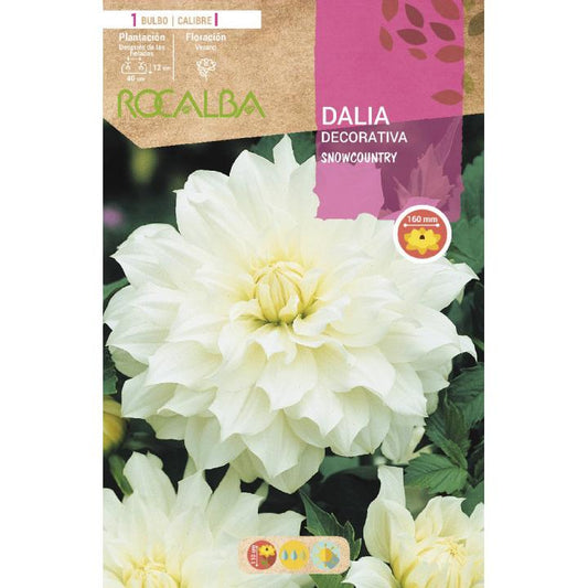Bulbo decorativo Dália Branco Puro 1 unid.