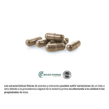 Reishi (Micélio) 400 mg Nature Essential, 50 cápsulas