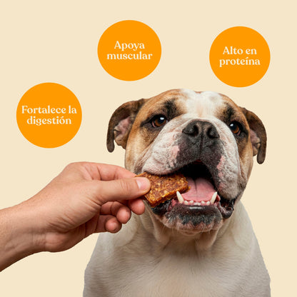 Nuggets de Pollo con Brócoli para Perros 450 g dr.bimix