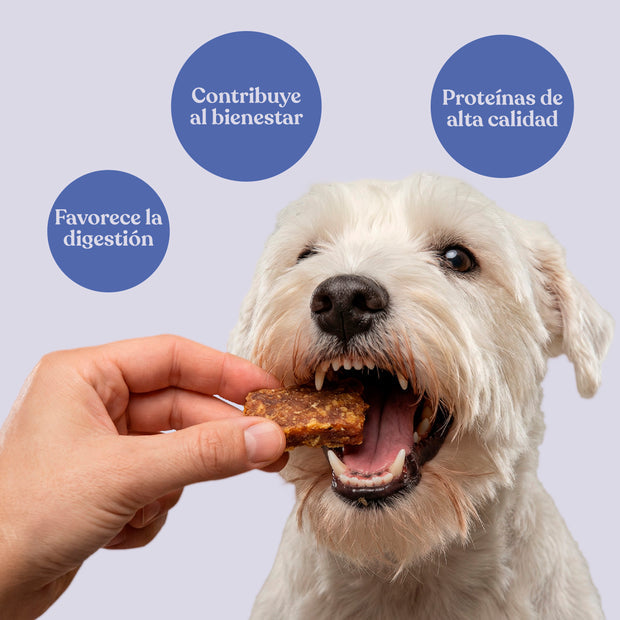 Nuggets de Conejo con Patata y Romero para Perros 450 g dr.bimix