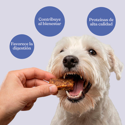 Nuggets de Conejo con Patata y Romero para Perros 450 g dr.bimix