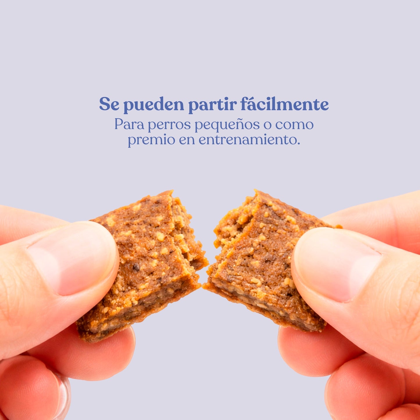 Nuggets de Conejo con Patata y Romero para Perros 450 g dr.bimix