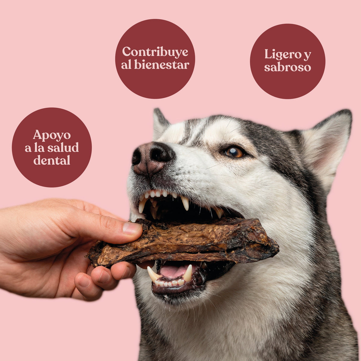 Pulmones de Ternera para Perros Snack Natural 150 g dr.bimix