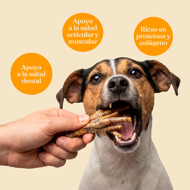Patas de Pollo para Perros Snack Natural 400 g dr.bimix