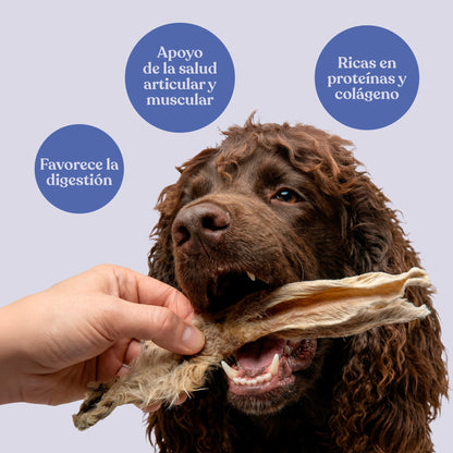 Orejas de Conejo con Pelo para Perros Snack Natural 200 g dr.bimix