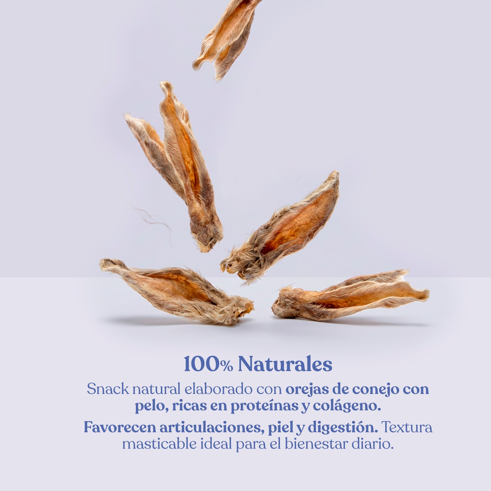 Orejas de Conejo con Pelo para Perros Snack Natural 200 g dr.bimix