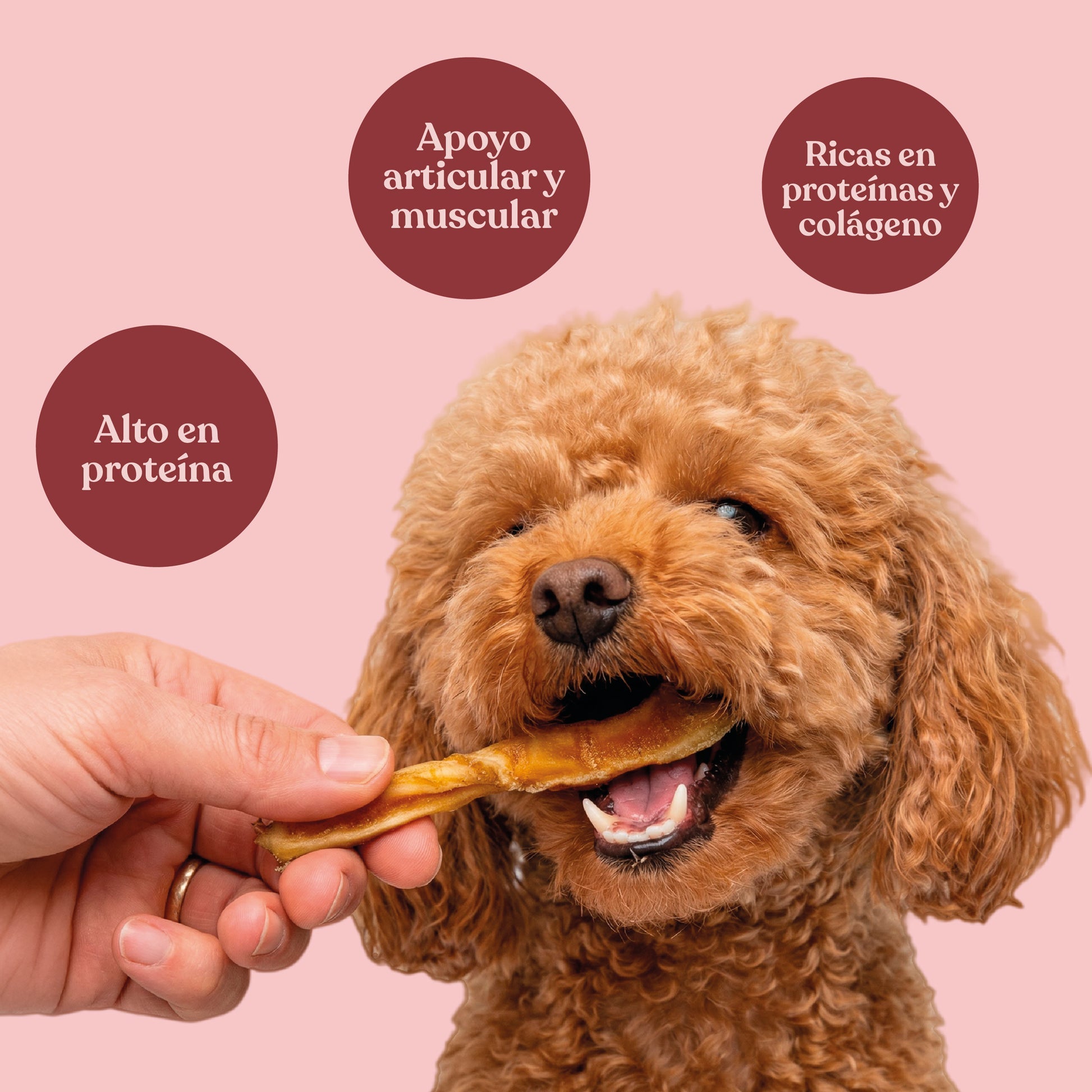 Palitos de Caravaca para Perros Masticación Natural 225 g dr.bimix