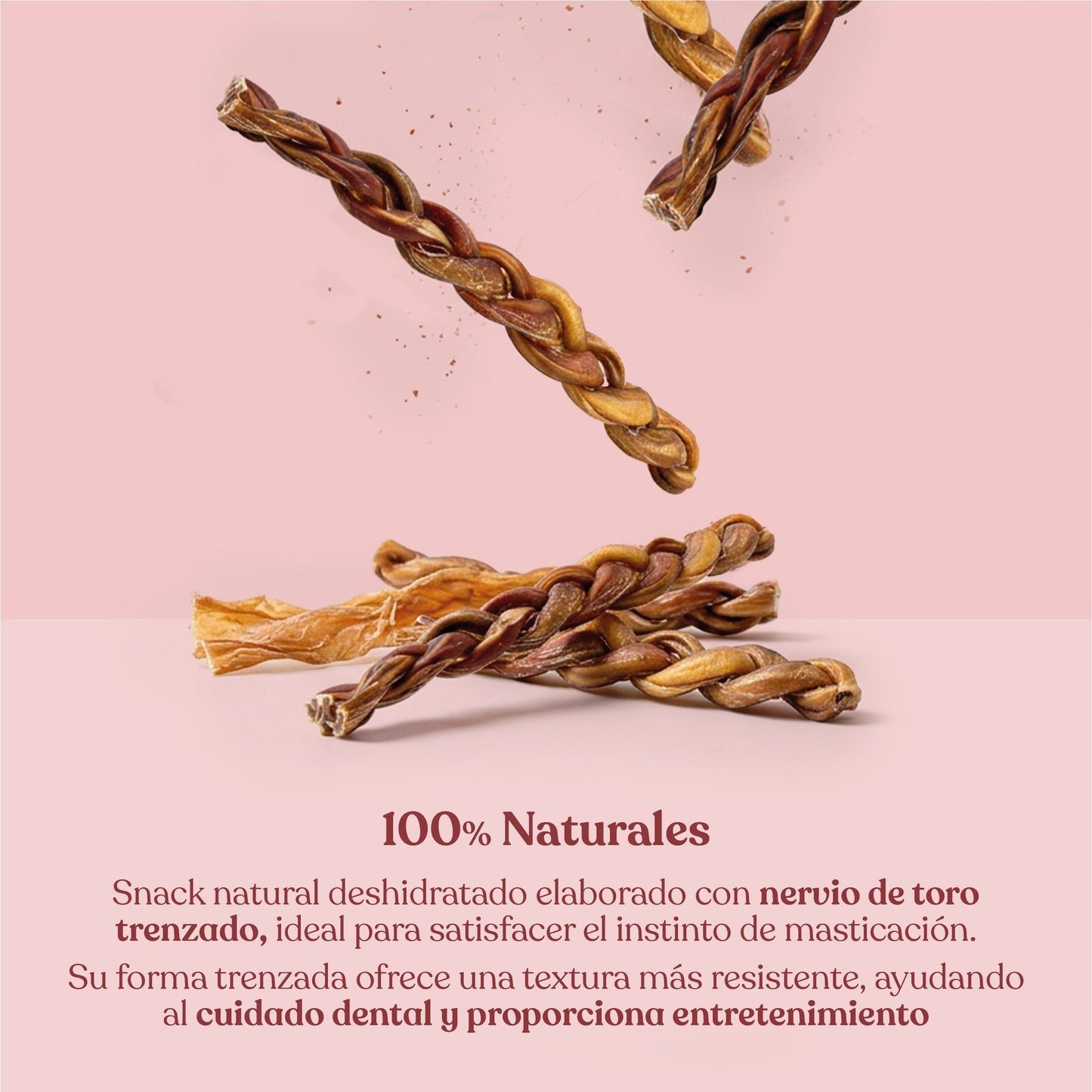 Nervio de Toro para Perros de Larga Duración 30 cm 265 g dr.bimix