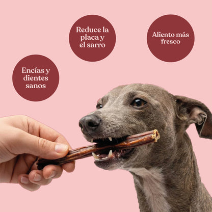 Palitos de Esófago de Vacuno para Perros 30 cm 250 g dr.bimix