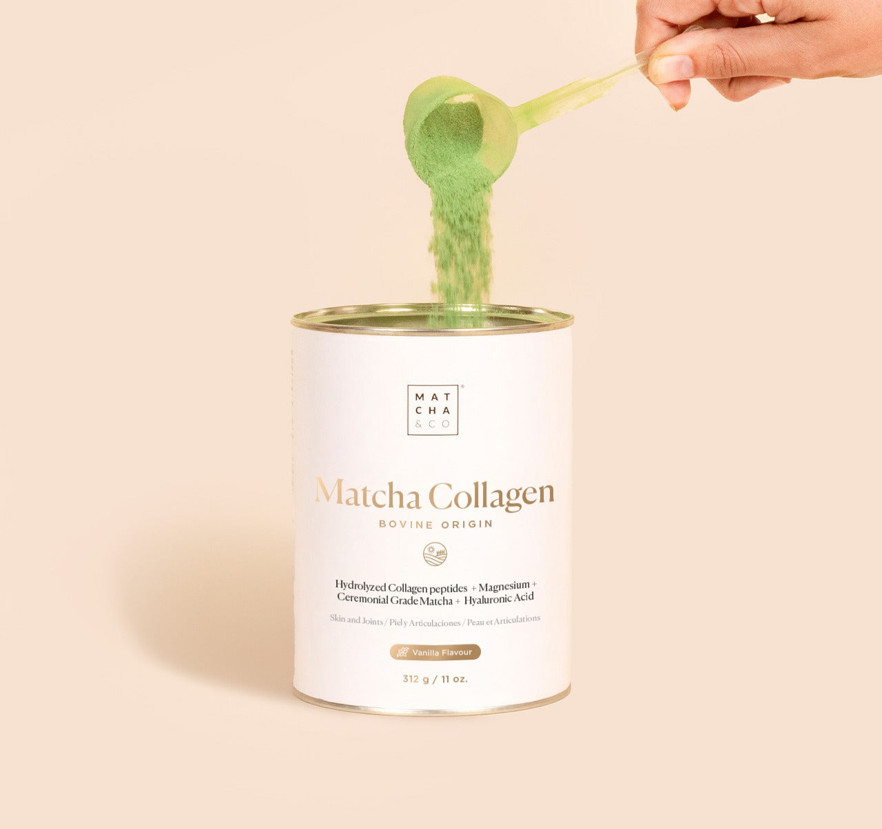 Té Matcha Colágeno Vainilla Matcha & CO  312g