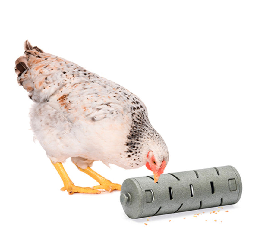 Comedero Rodillo Interactivo Para Aves - Juguete Para Gallinas - Comedero Divertido Para Alimentar Gallinas_0